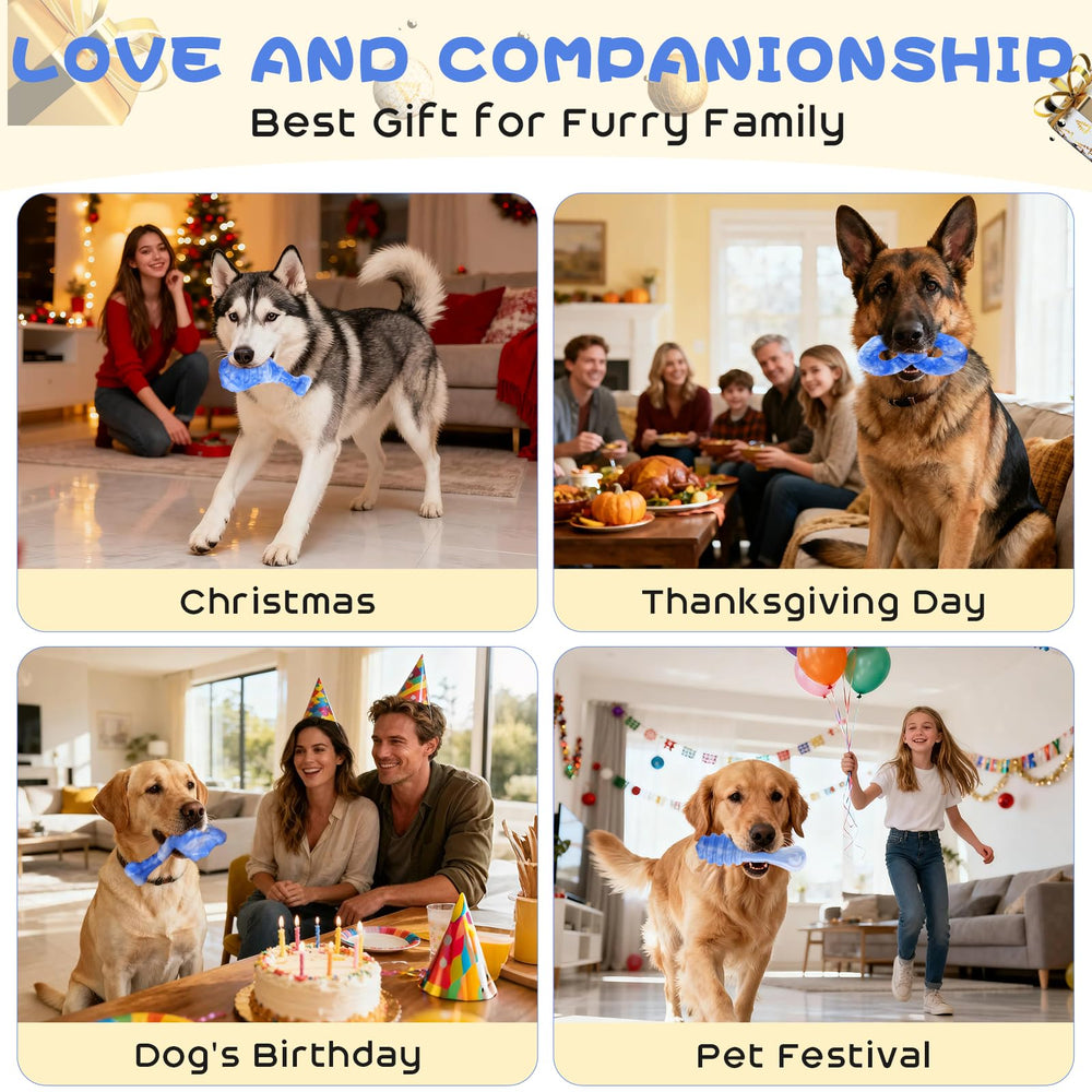 WinTour complemento emocional canino combate aburrimiento y soledad