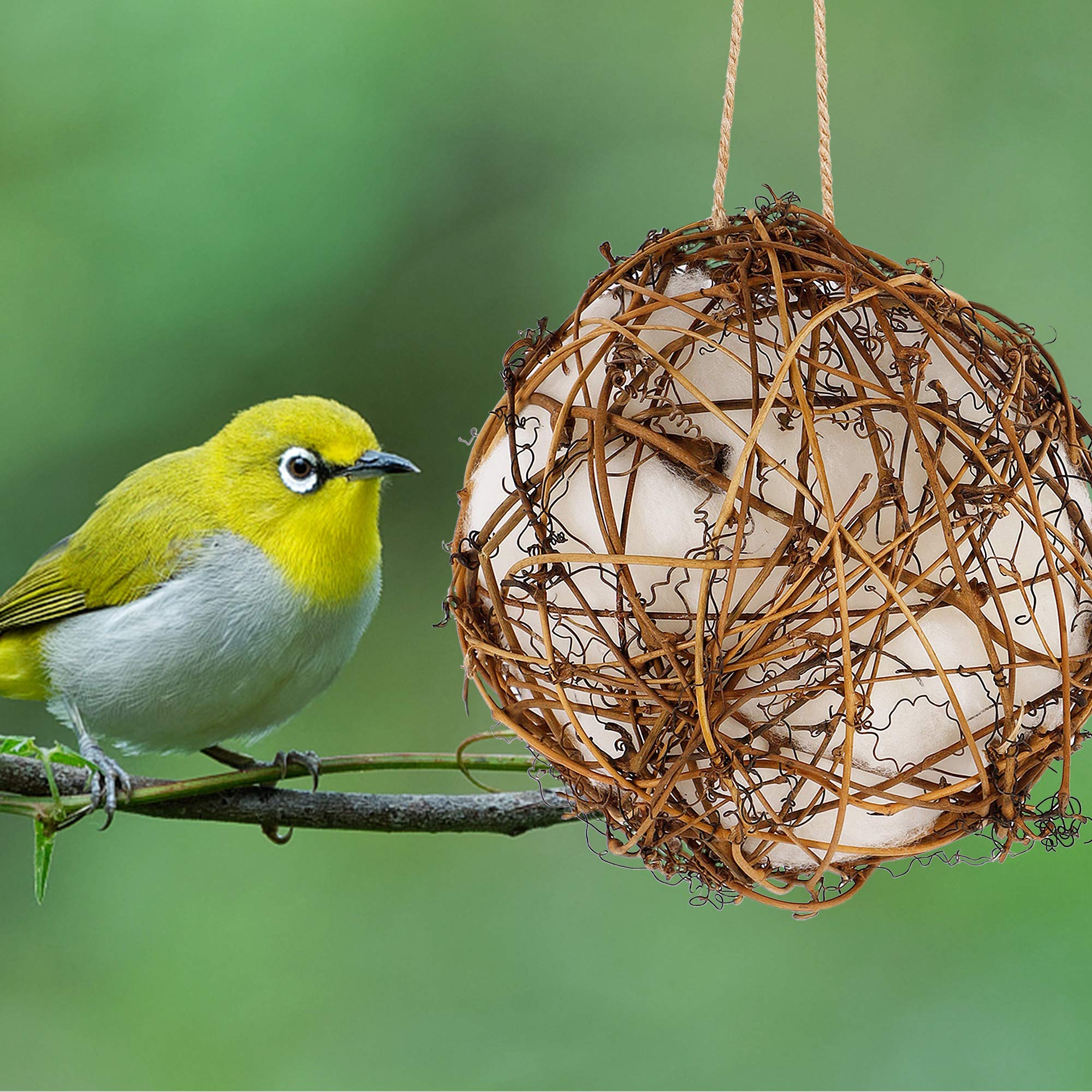 Nido globo Winemana lleno de materiales, facilita la observación de aves.