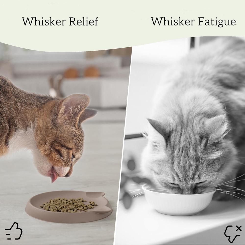 Wingcases cuenco antideslizante para gato, evita deslizamientos y facilita limpieza.
