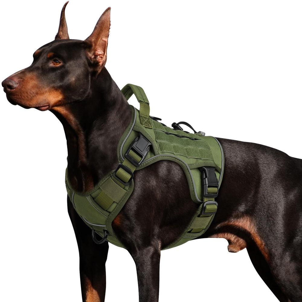 Arnés WINGOIN para perro grande con asa frontal para control inmediato.