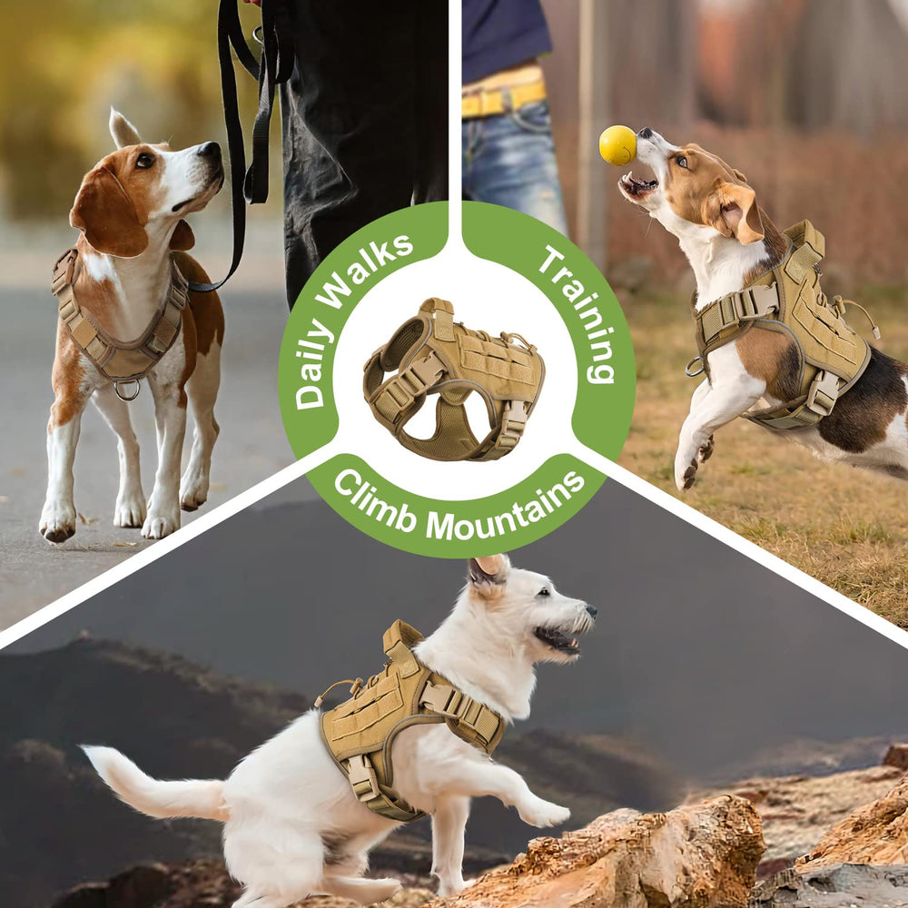 Guía de talla del arnés WINGOIN para perros pequeños, adecuada para senderismo