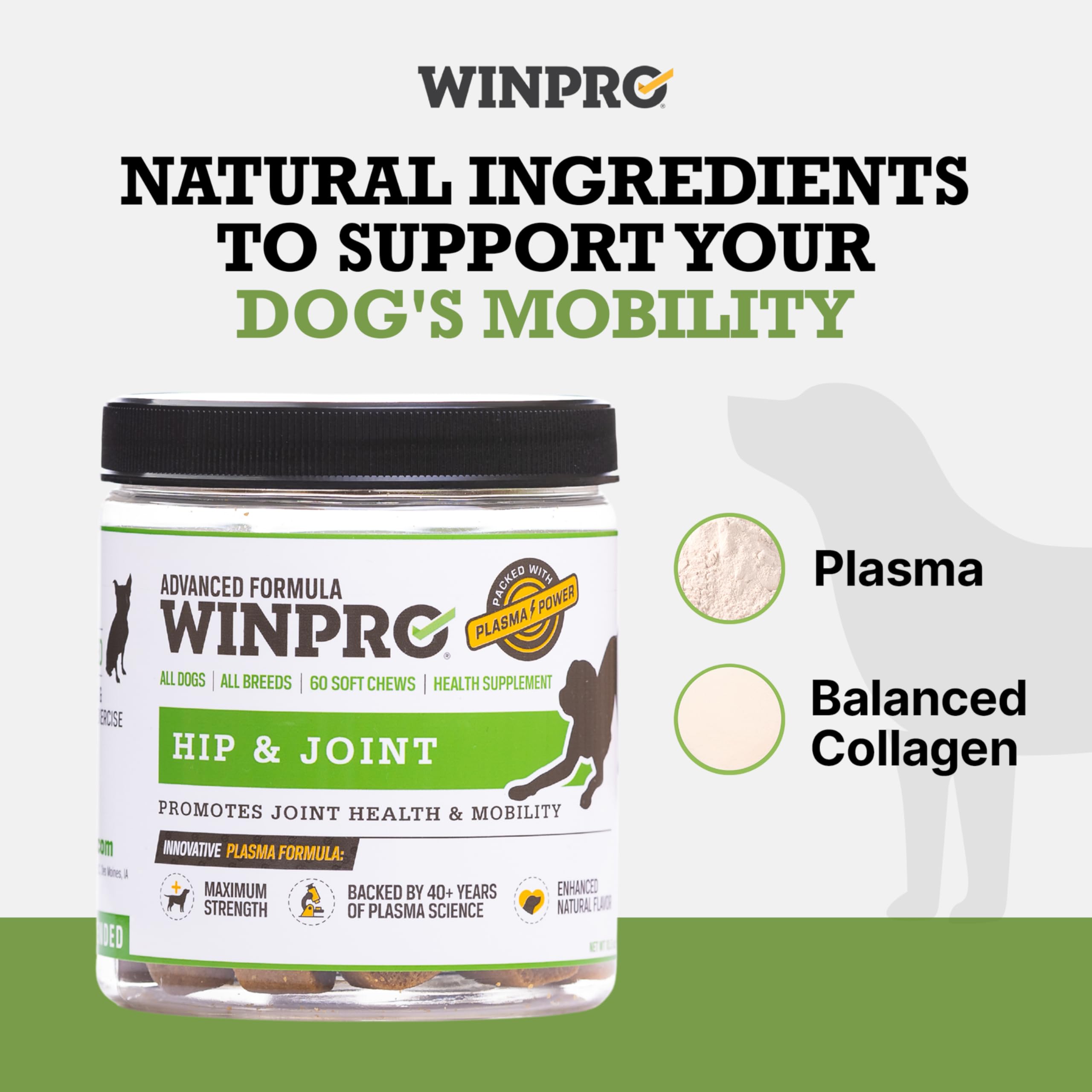 WINPRO colágeno balanceado para tejidos conectivos y movilidad.