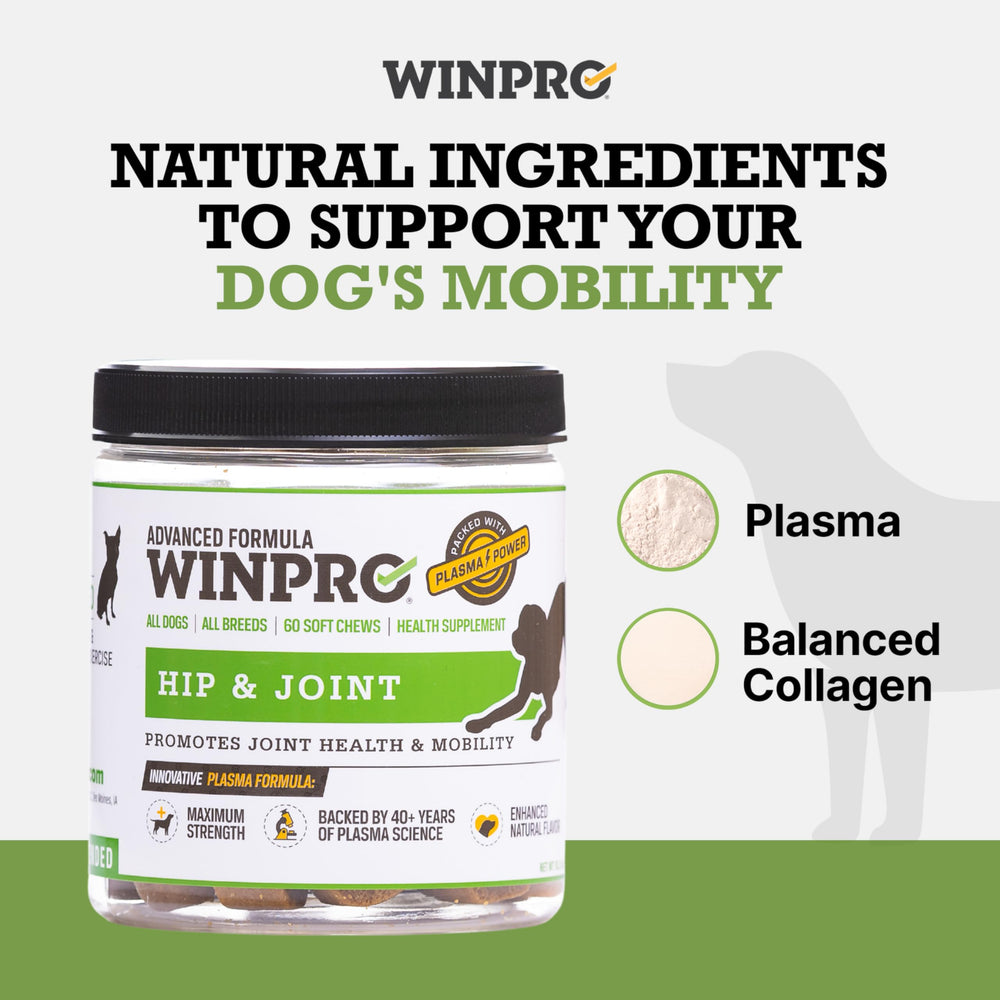WINPRO colágeno balanceado para tejidos conectivos y movilidad.
