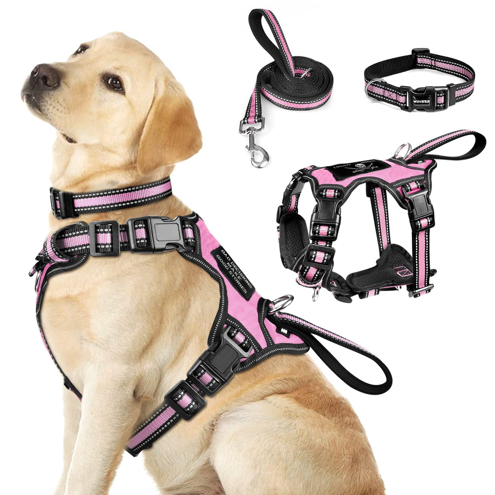 Winsee arnés-collar-y-correa-3en1 reflectante para paseos seguros al atardecer.