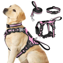 Winsee arnés-collar-y-correa-3en1 reflectante para paseos seguros al atardecer.