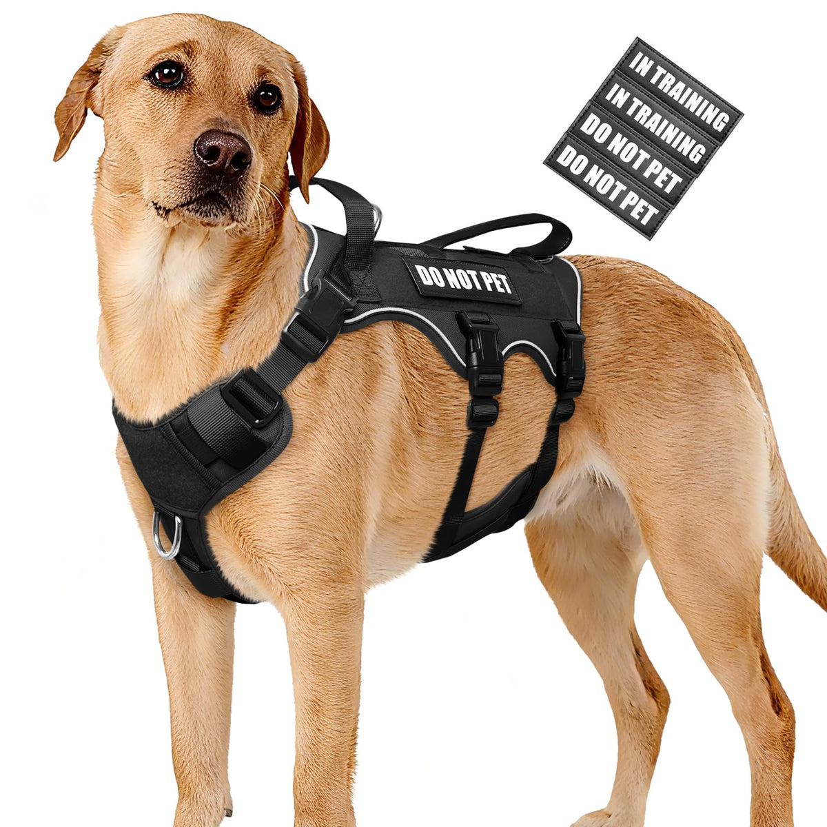 WINSEE arnés para perro a prueba de escape: seguridad en paseos y control fiable