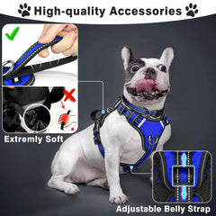 WINSEE collar perro reflectante de nylon para mayor visibilidad y seguridad