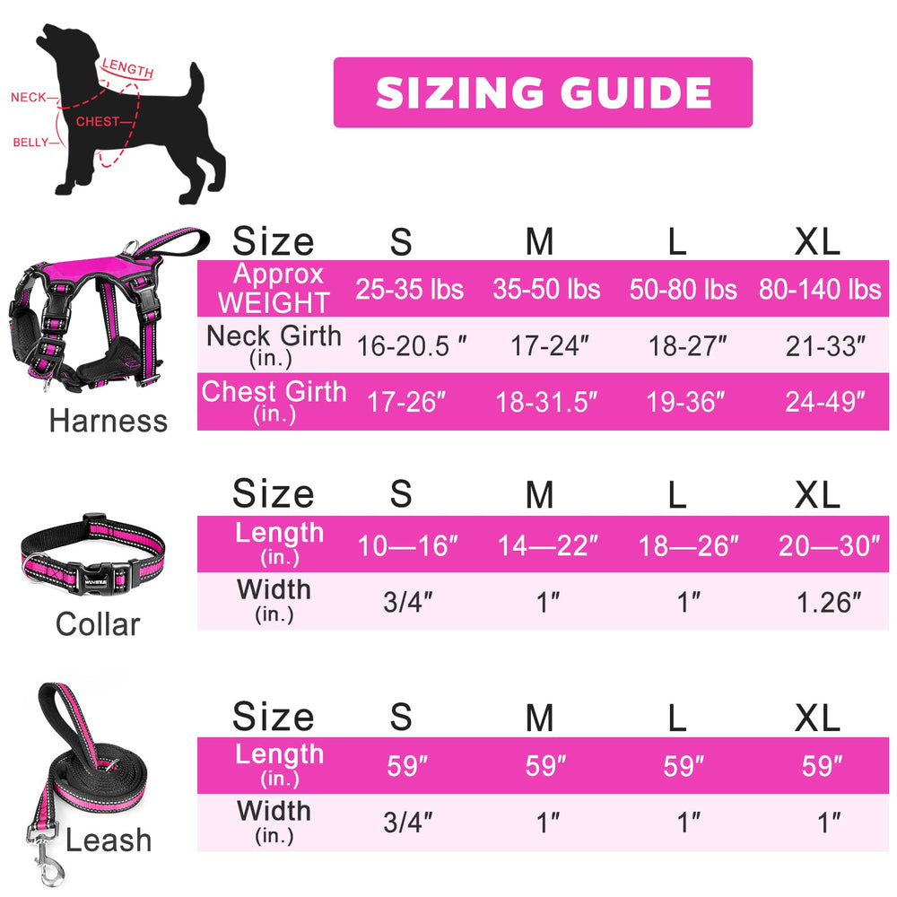 WINSEE conjunto 3 en 1 para paseos, juego y entrenamiento