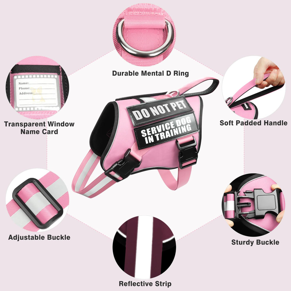 Correa WINSEE de 5 pies en color rosa, duradera y cómoda para paseos.