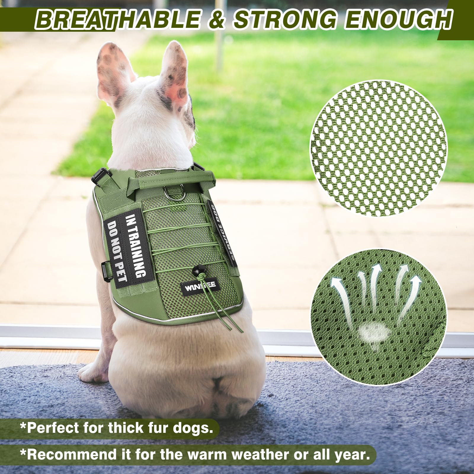 Parches WINSEE para perro en entrenamiento, personaliza su chaleco.