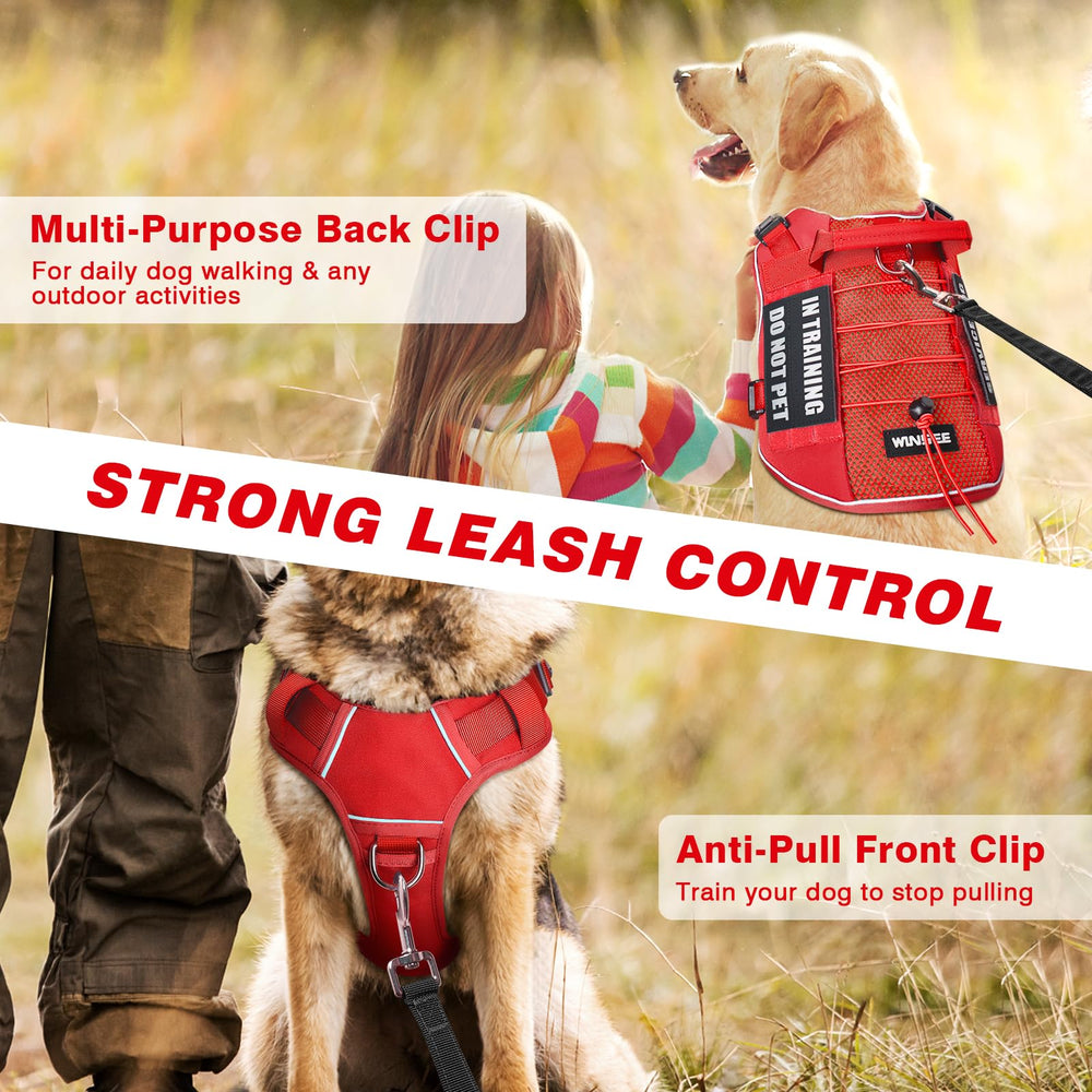 Sistema Molle lateral del arnés WINSEE para accesorios y cargas.
