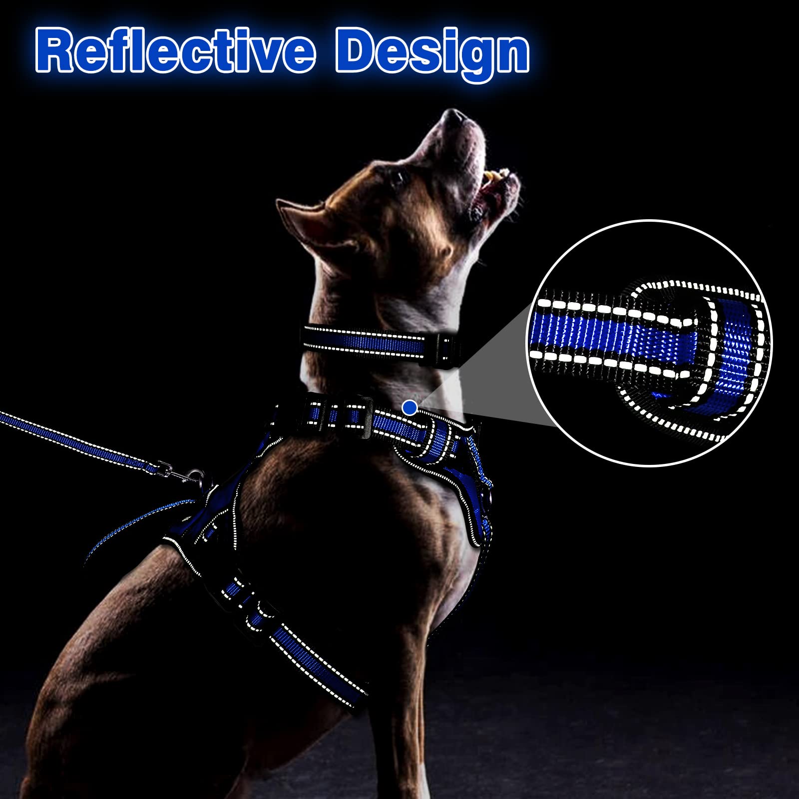 WINSEE tallas S a XL para perros pequeños a grandes