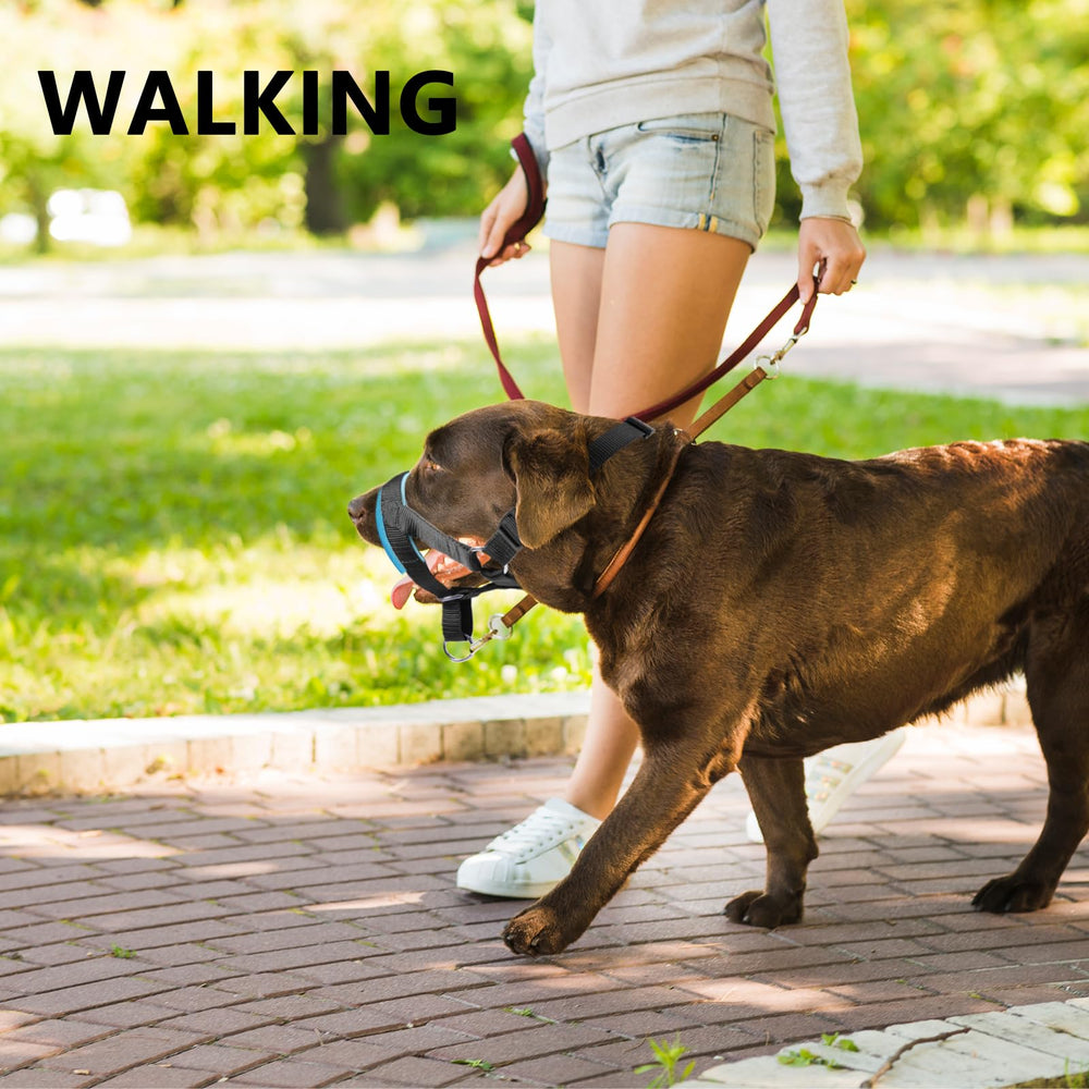 Wintchuk collar de cabeza con diseño cómodo para perros activos.