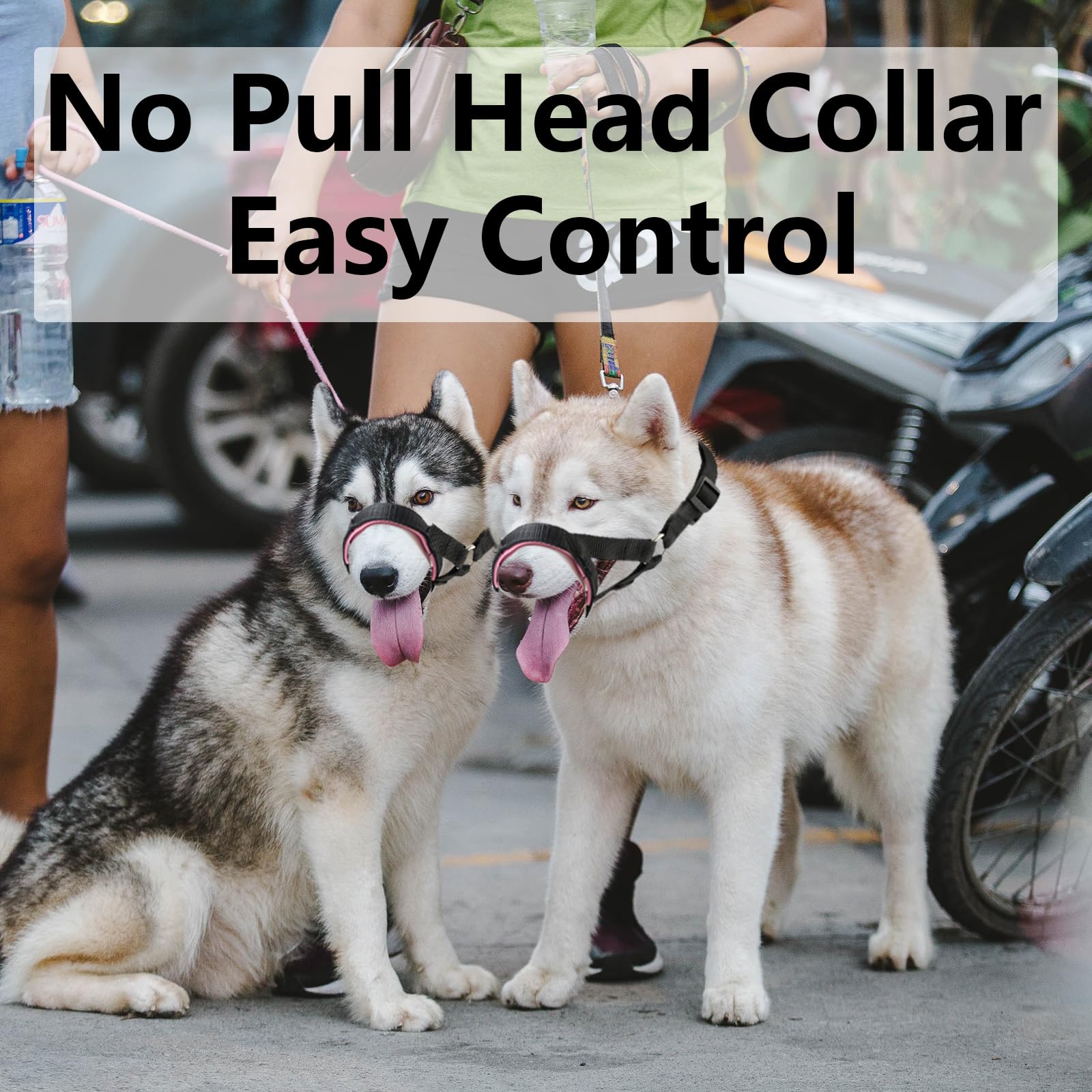 Wintchuk collar de cabeza en uso durante paseo para guía suave.