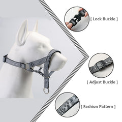 Entrenamiento suave con collar de cabeza wintchuk