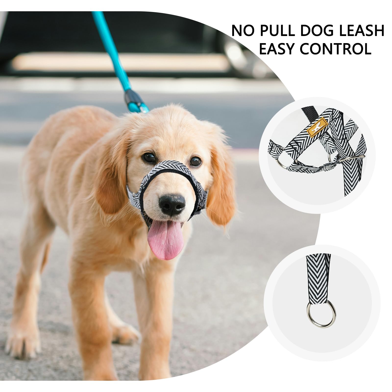 Paseos diarios con collar de cabeza wintchuk