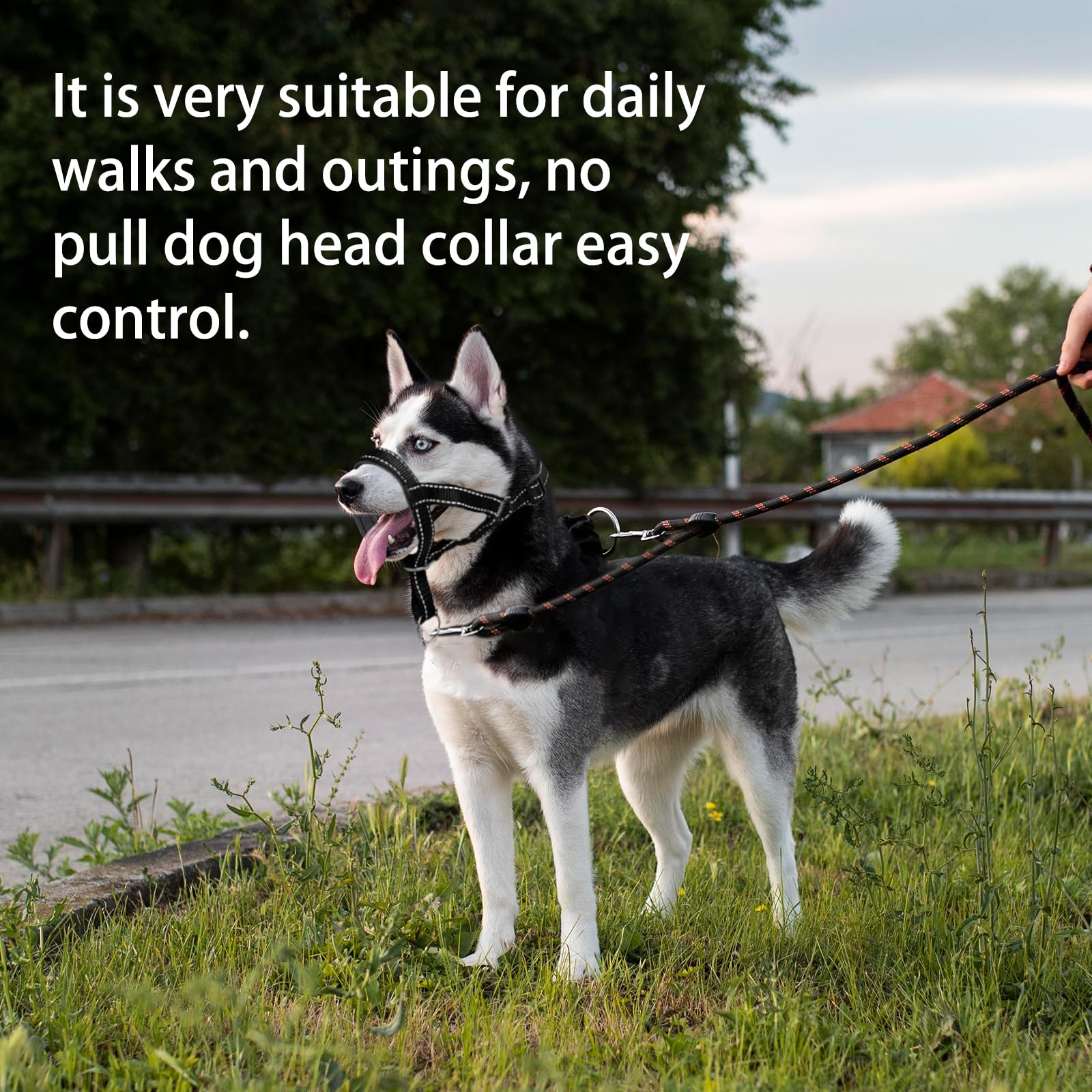 Wintchuk collar de cabeza para paseos diarios y entrenamiento suave.