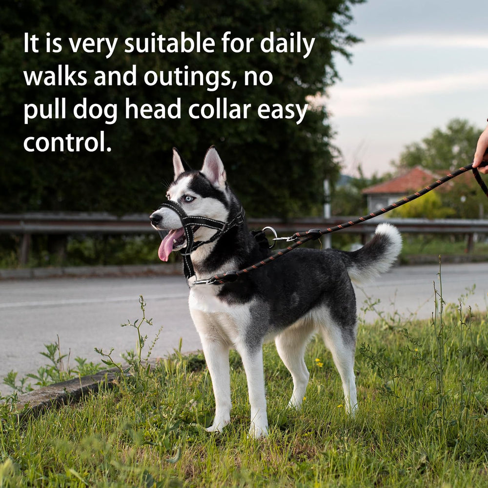 Wintchuk collar de cabeza para paseos diarios y entrenamiento suave.