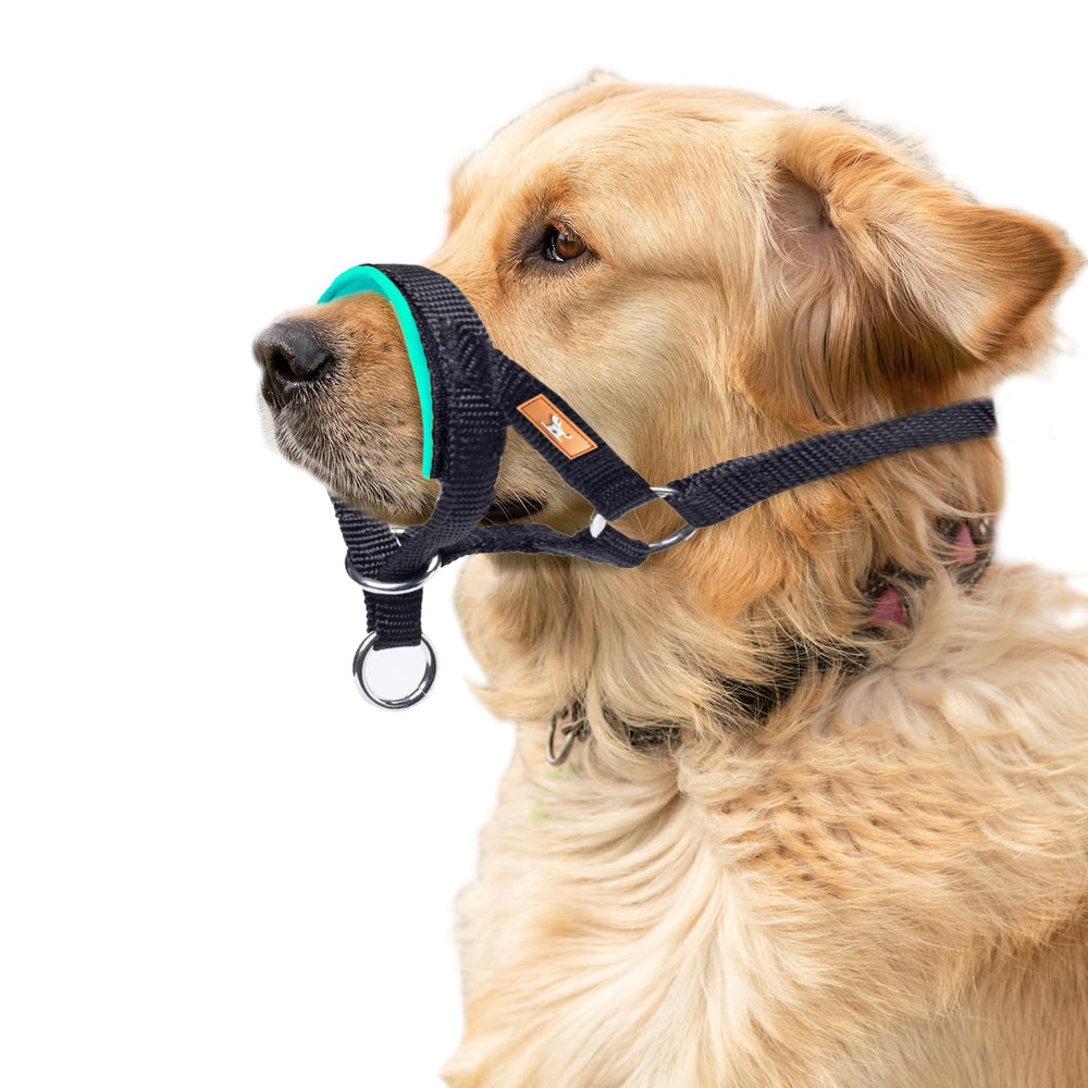 Collar de cabeza wintchuk con tacto suave, comodidad en paseos.