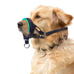 Collar de cabeza wintchuk con tacto suave, comodidad en paseos.