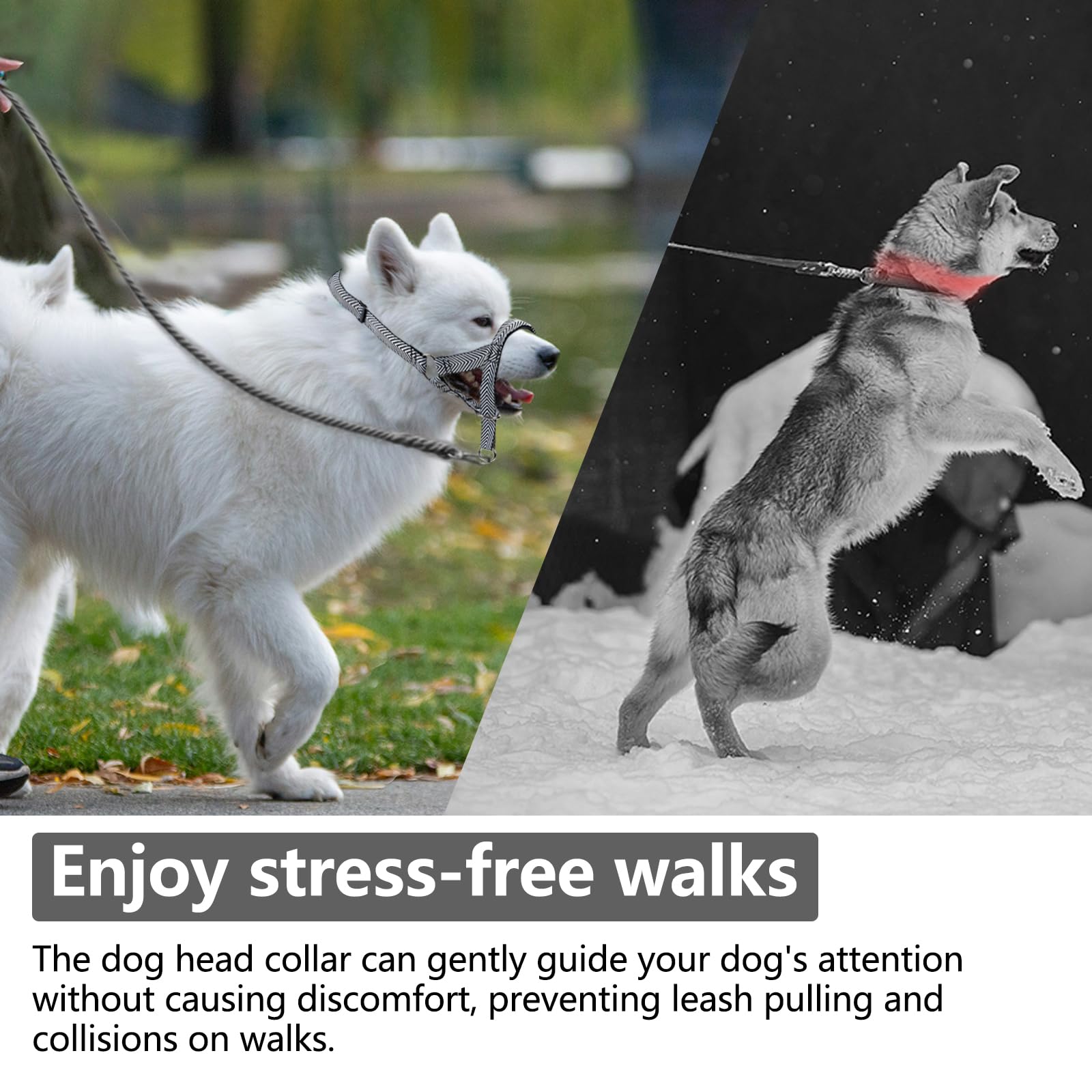 Ajuste de tallas del collar de cabeza wintchuk para perros