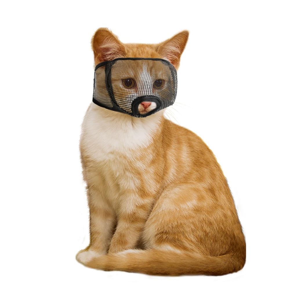 Mordaza wintchuk para gatos con malla suave y ajuste cómodo.
