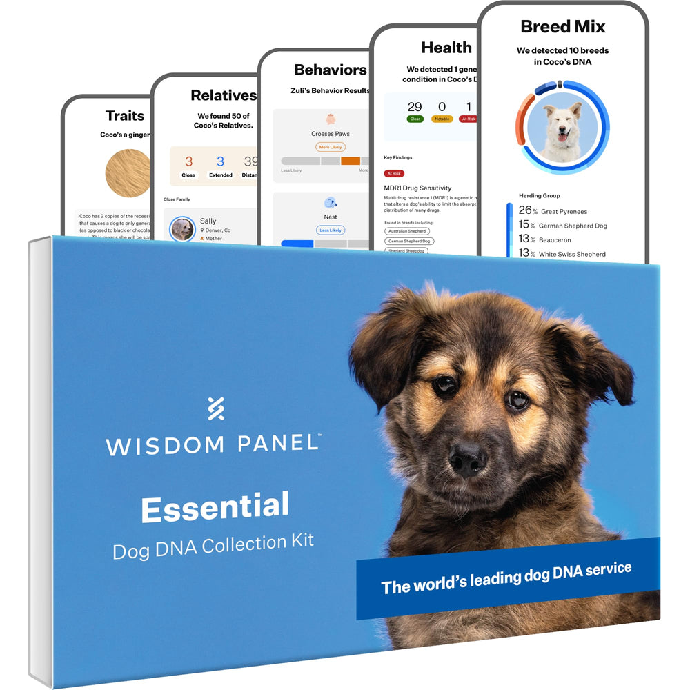 Wisdom Health Essential Dog DNA Kit: empaque para iniciar la prueba de razas.