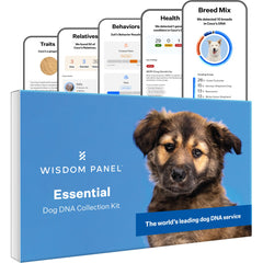 Wisdom Health Essential Dog DNA Kit: empaque para iniciar la prueba de razas.