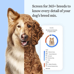 Wisdom Health Essential Dog DNA Kit: muestra de saliva para comenzar el análisis genético.