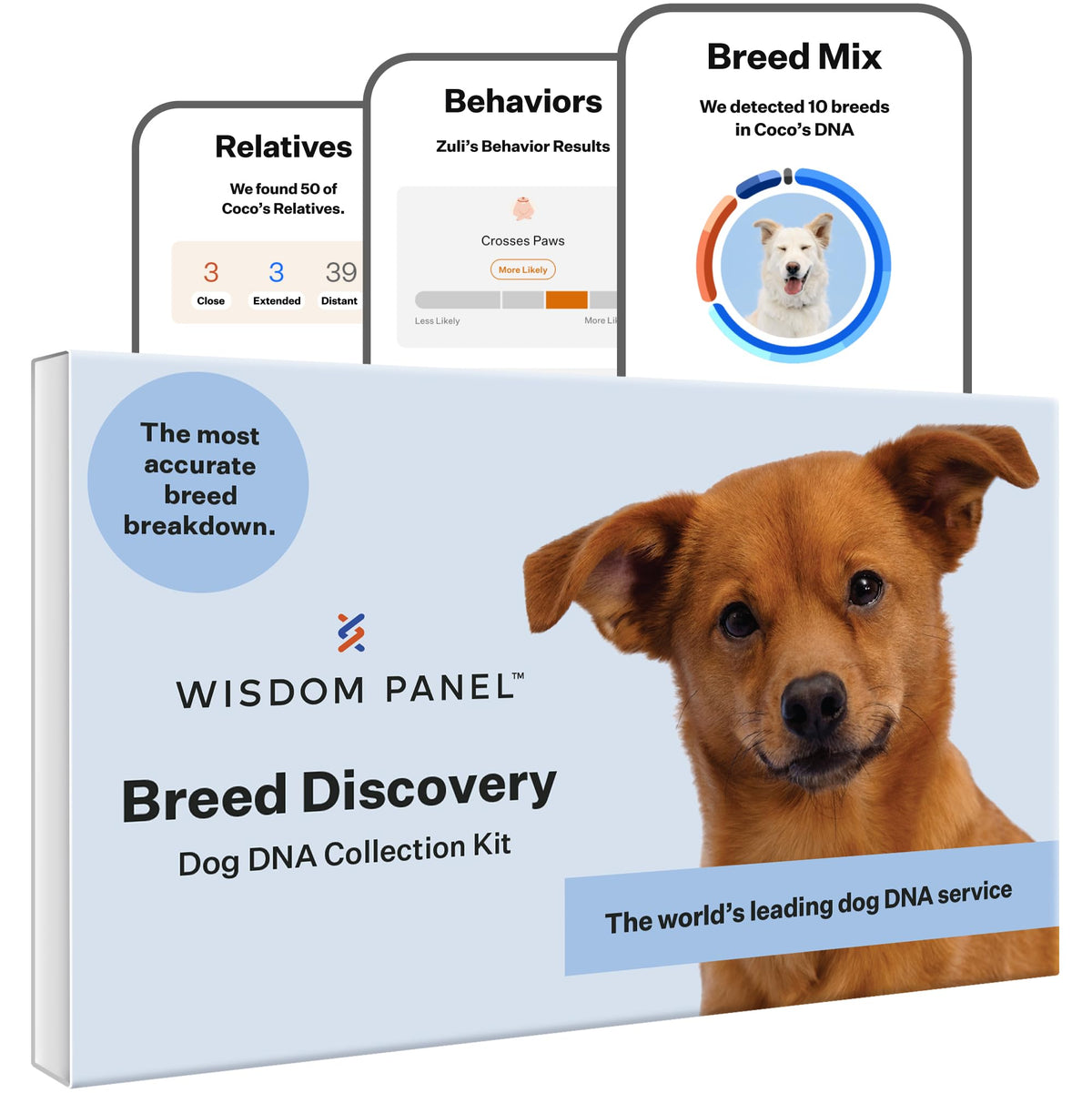 Wisdom Panel Descubrimiento: muestra de ADN para identificar razas con precisión.