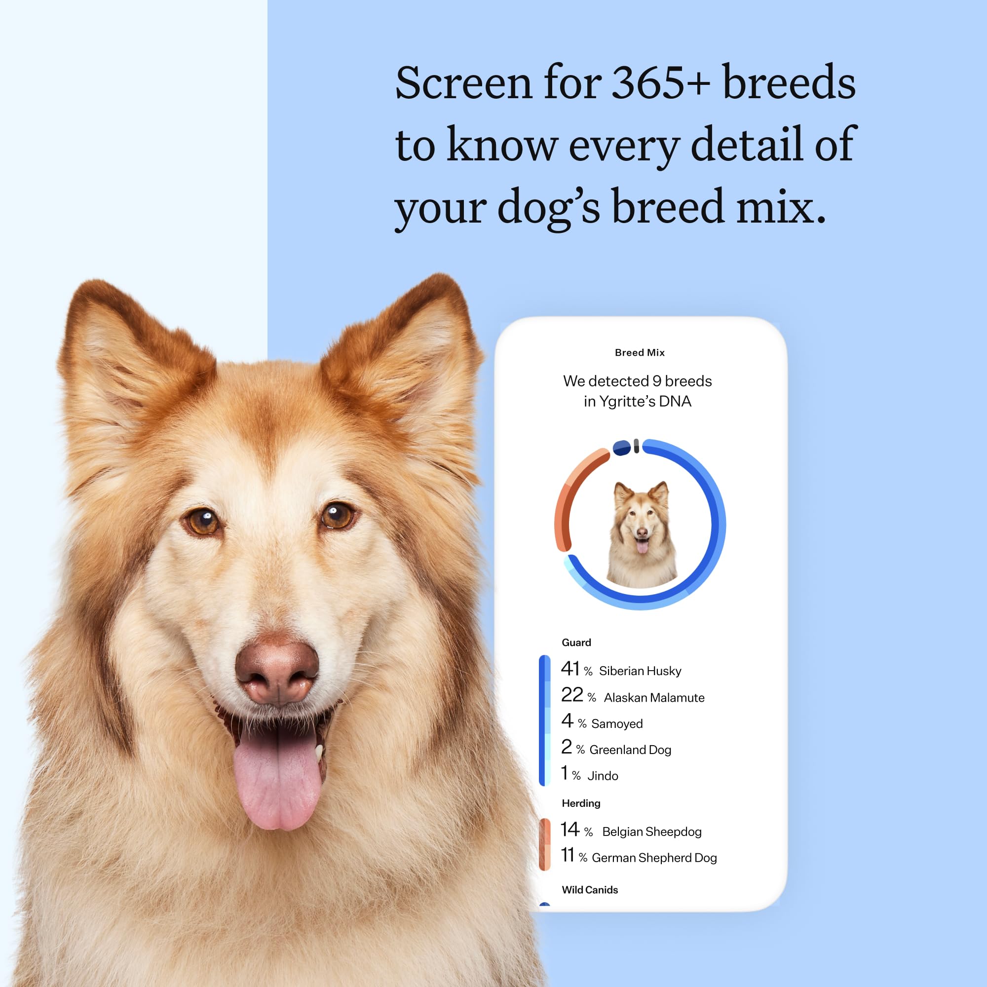 Wisdom Panel: foto del kit ADN para identificar razas rápidamente.