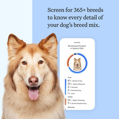 Wisdom Panel: foto del kit ADN para identificar razas rápidamente.