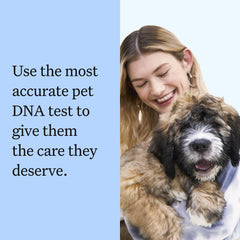 Wisdom Panel: imagen de muestra de ADN para encontrar parientes caninos.