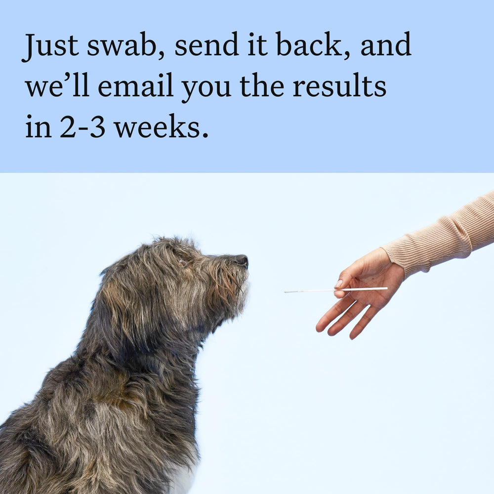 Wisdom Panel: captura de resultados para 365+ razas.