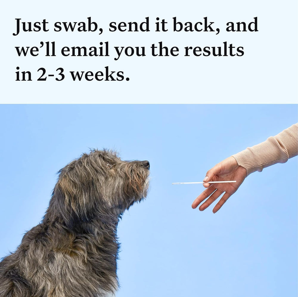 Base de datos de millones de perros analizados con Wisdom Panel Essential