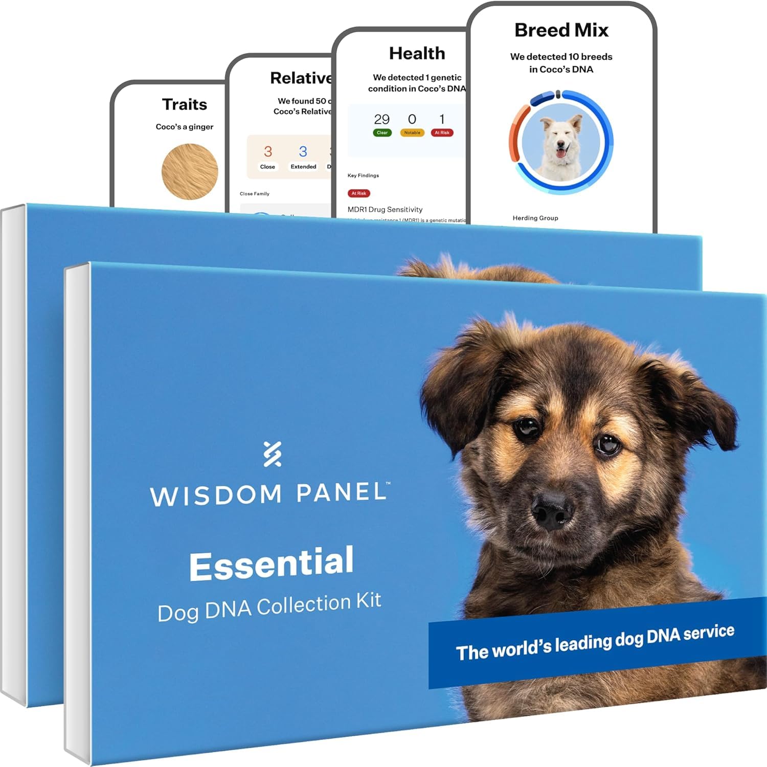 Wisdom Panel Essential dos unidades, prueba de ADN para conocer razas y cuidados