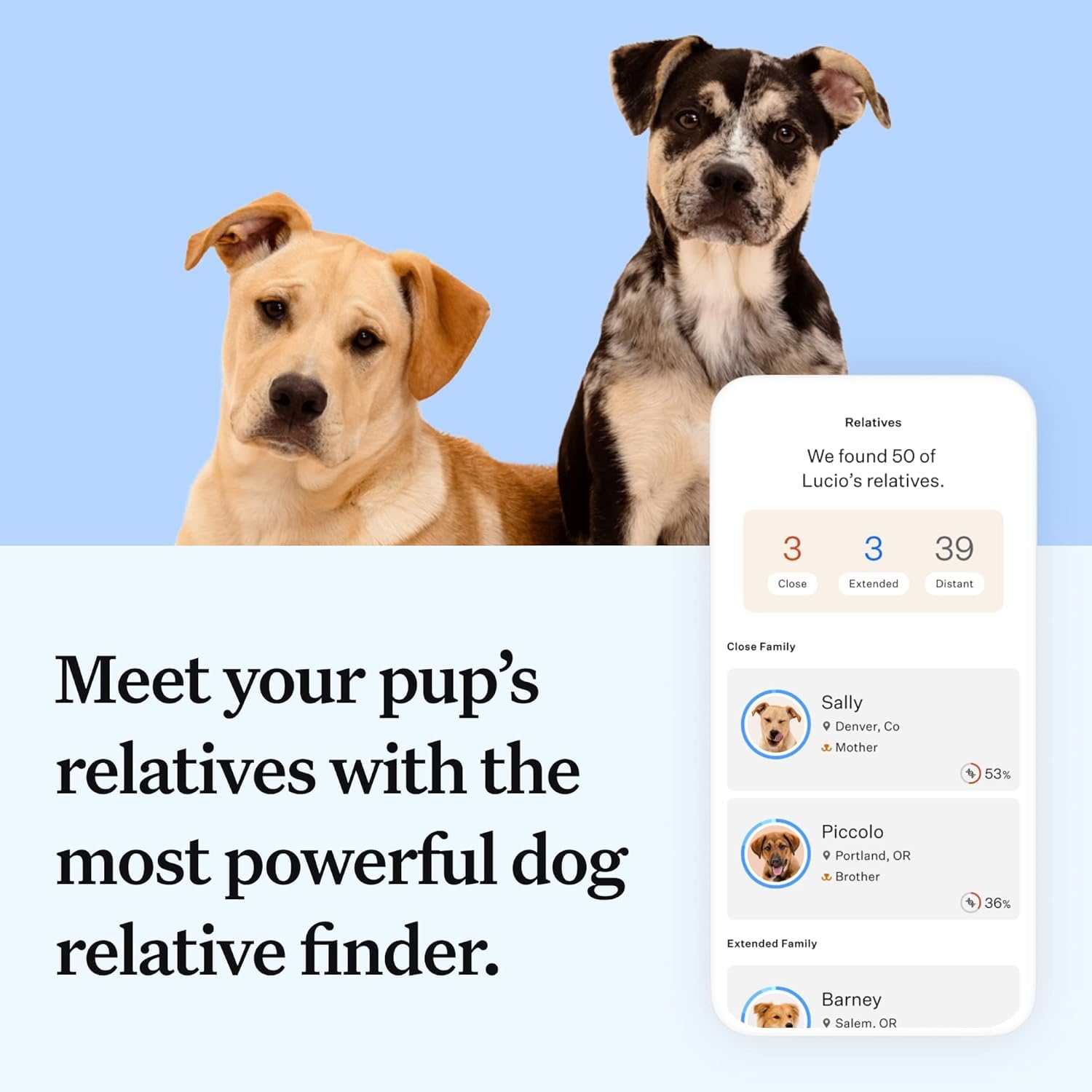 Rasgos y comportamientos analizados por Wisdom Panel Essential