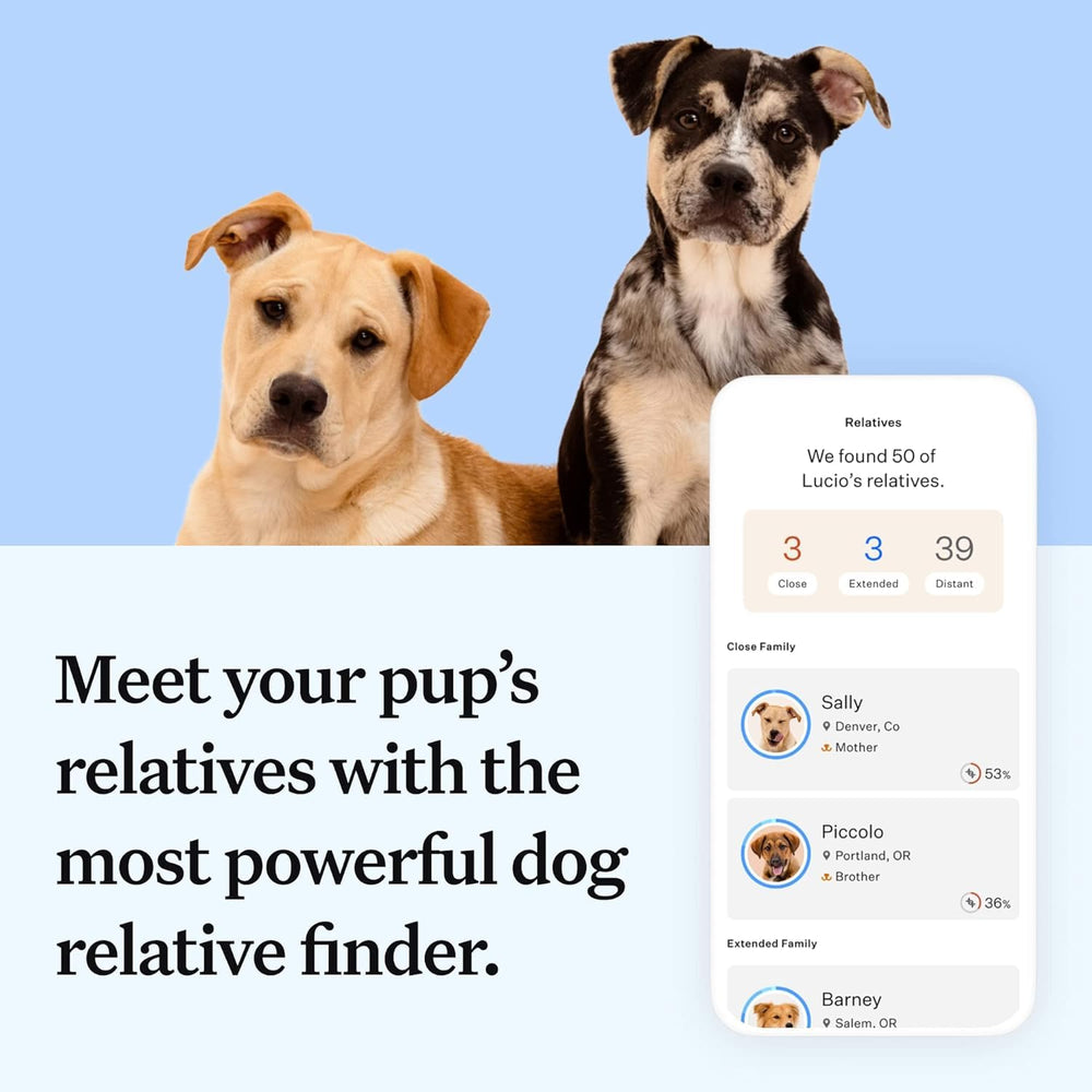 Rasgos y comportamientos analizados por Wisdom Panel Essential