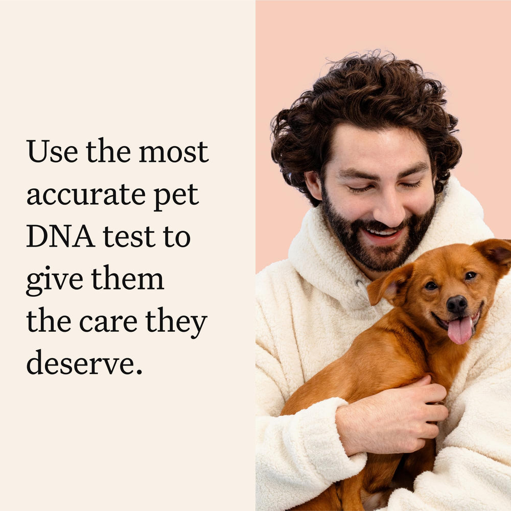 Wisdom Panel Premium: hisopo de muestra para perro listo para analizar su ADN