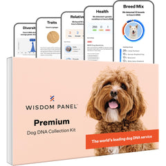 Wisdom Panel Premium kit herramientas para iniciar la prueba de ADN canino