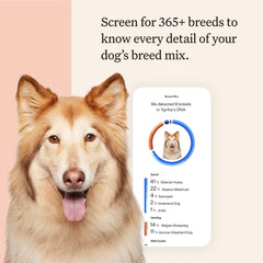 Wisdom Panel Premium muestra dna perro para laboratorio y análisis