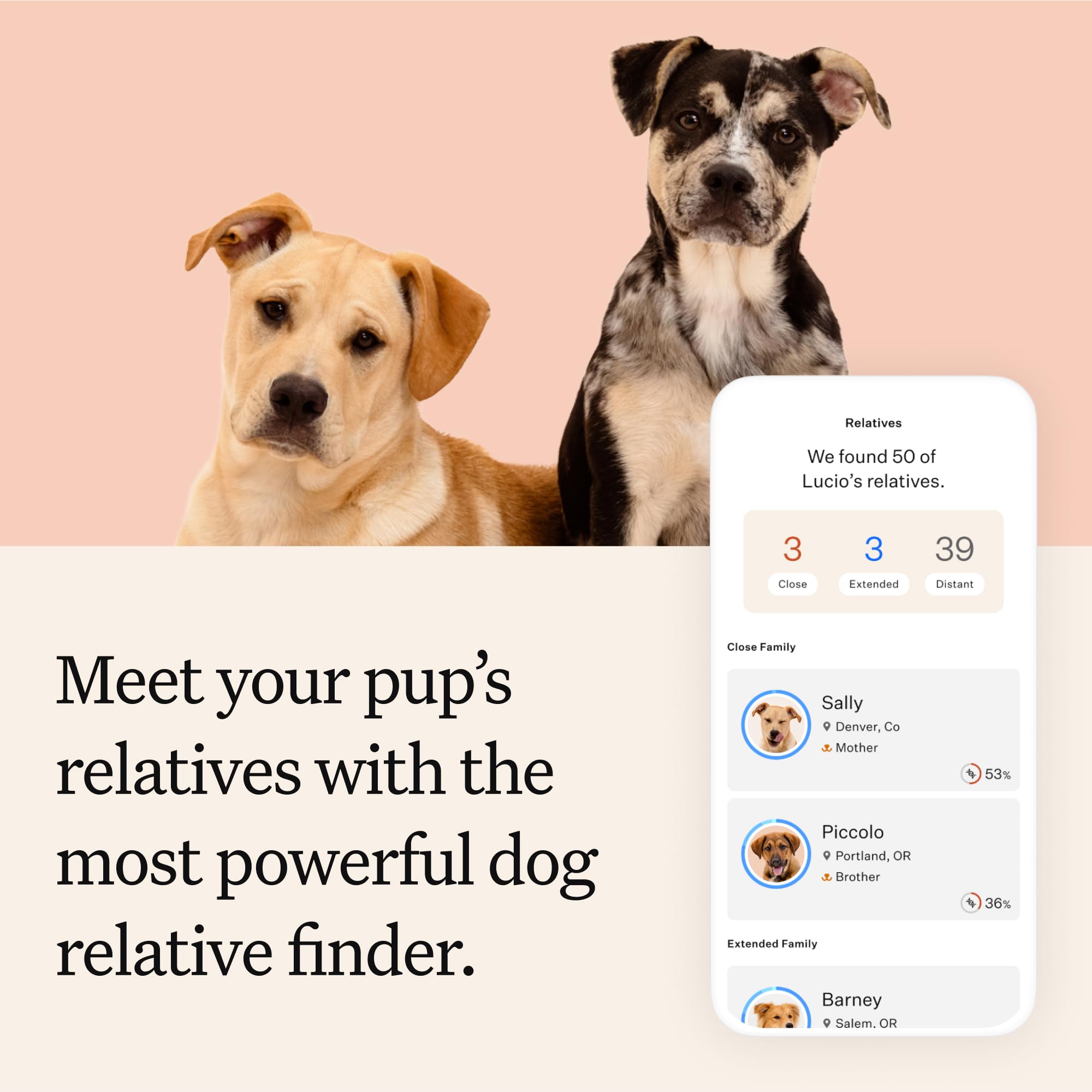 Wisdom Panel Premium relativos coincidentes para conectar con otros dueños