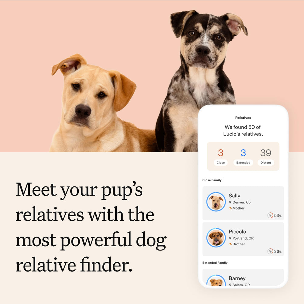 Wisdom Panel Premium relativos coincidentes para conectar con otros dueños