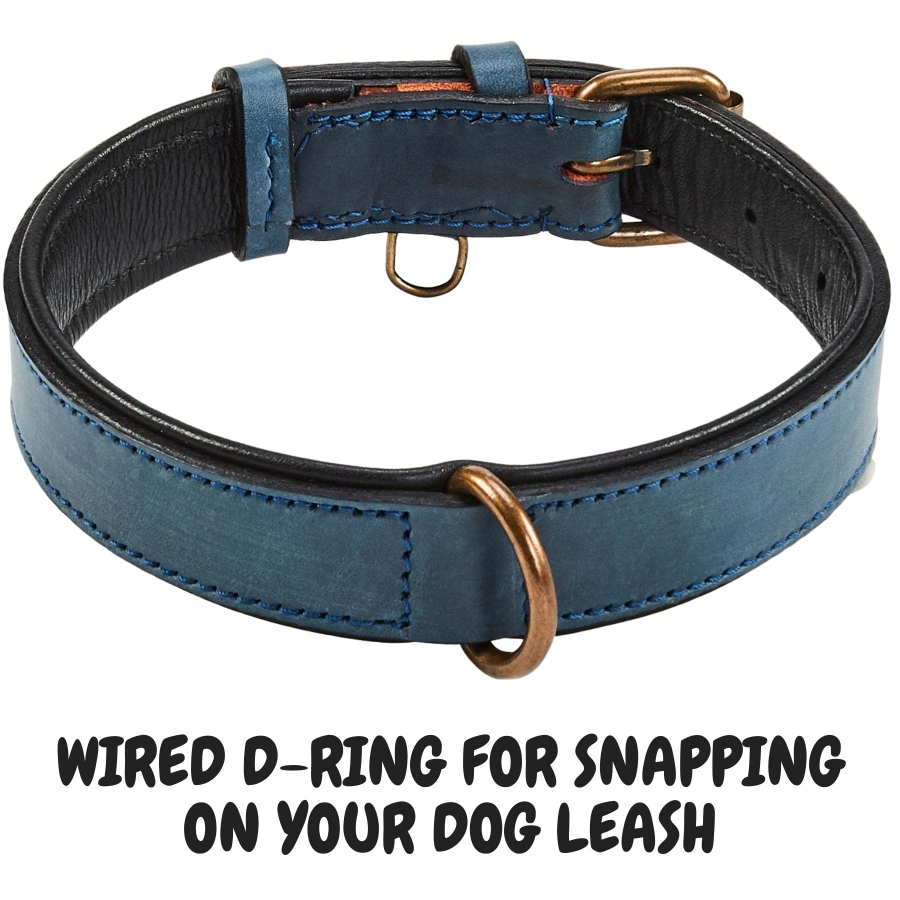 Etiqueta integrada en Wise Owl Accessories para identificar a tu mascota.
