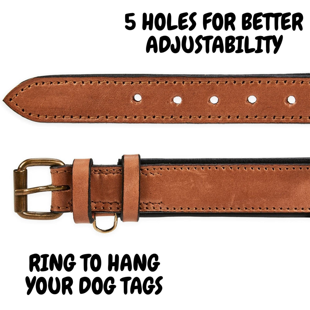 Wise Owl Accessories collar mediano para cuello de 13,5 a 17,5 pulgadas
