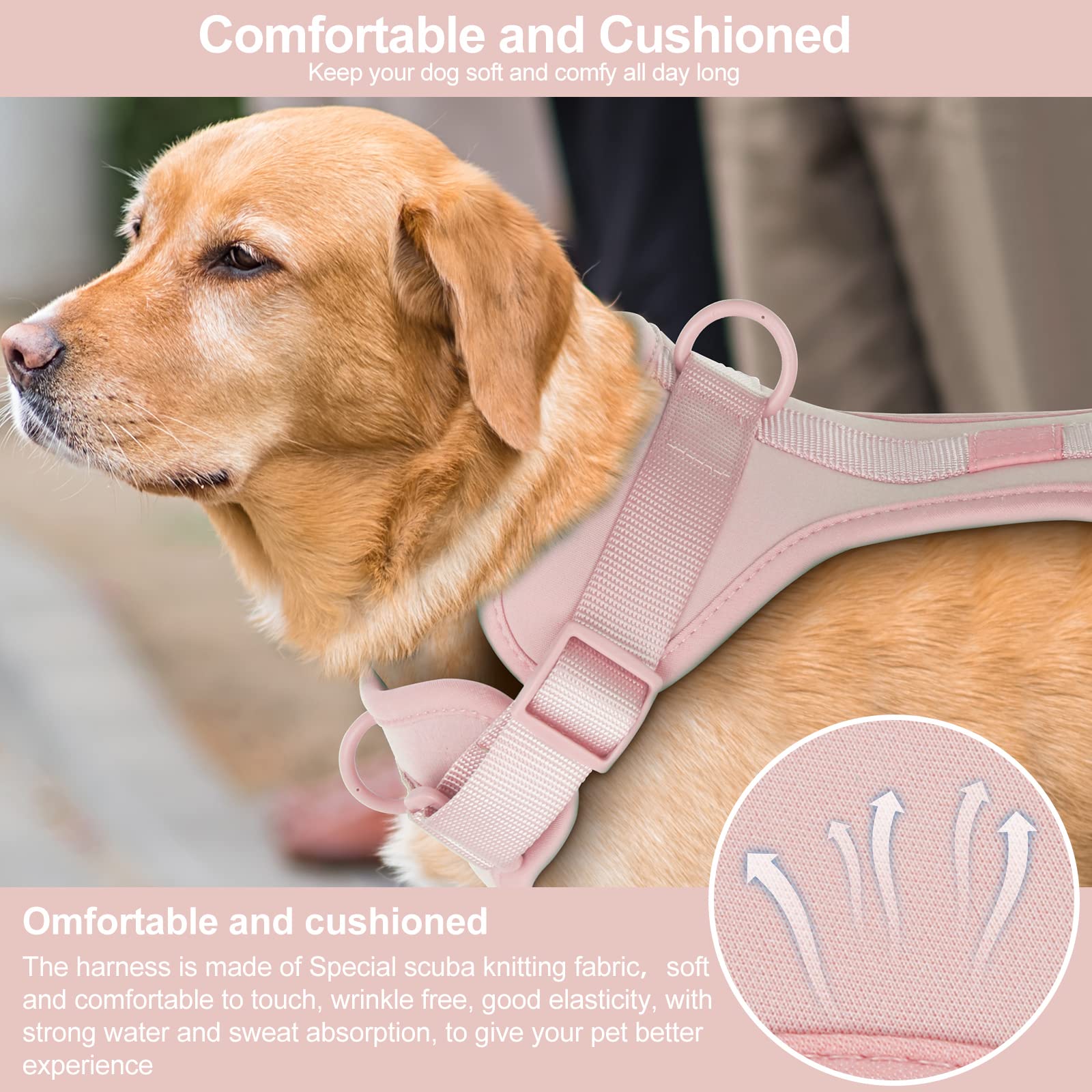 Correas ajustables Wisedog para ajustarse a diferentes tallas.