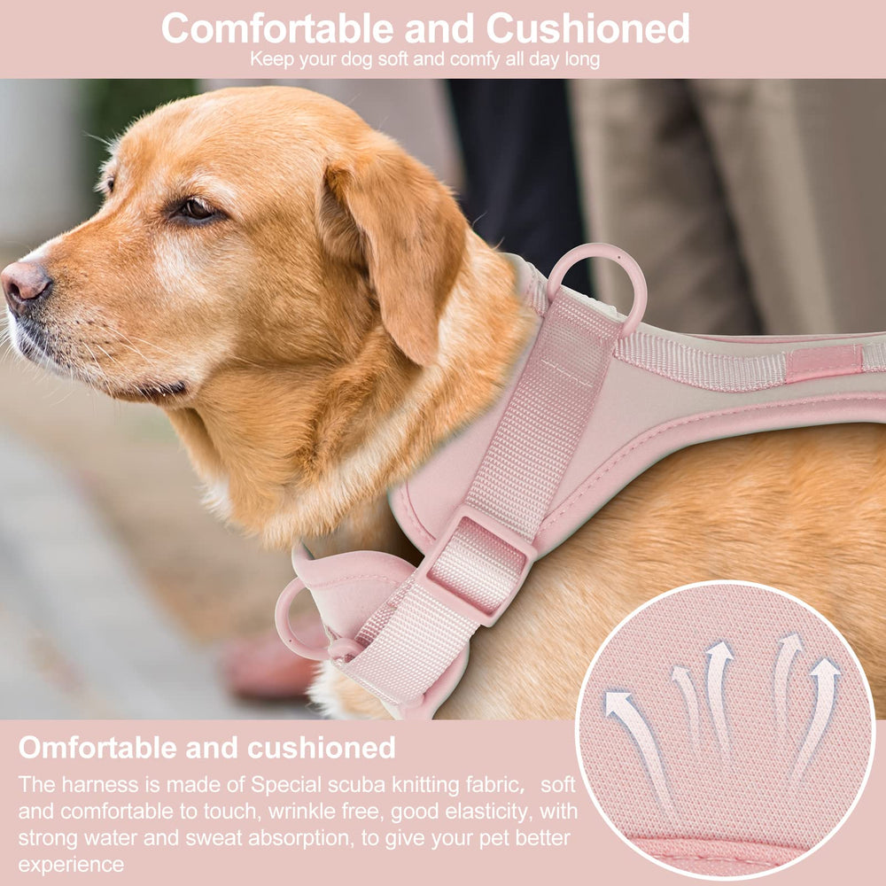 Correas ajustables Wisedog para ajustarse a diferentes tallas.