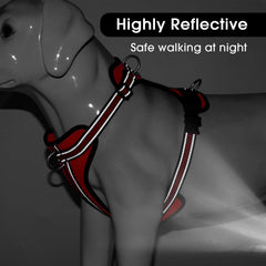 Arnés Wisedog con cuatro correas ajustables para ajuste perfecto.