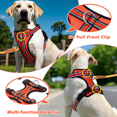 Arnés Wisedog con clip trasero para paseos y trote cómodo.