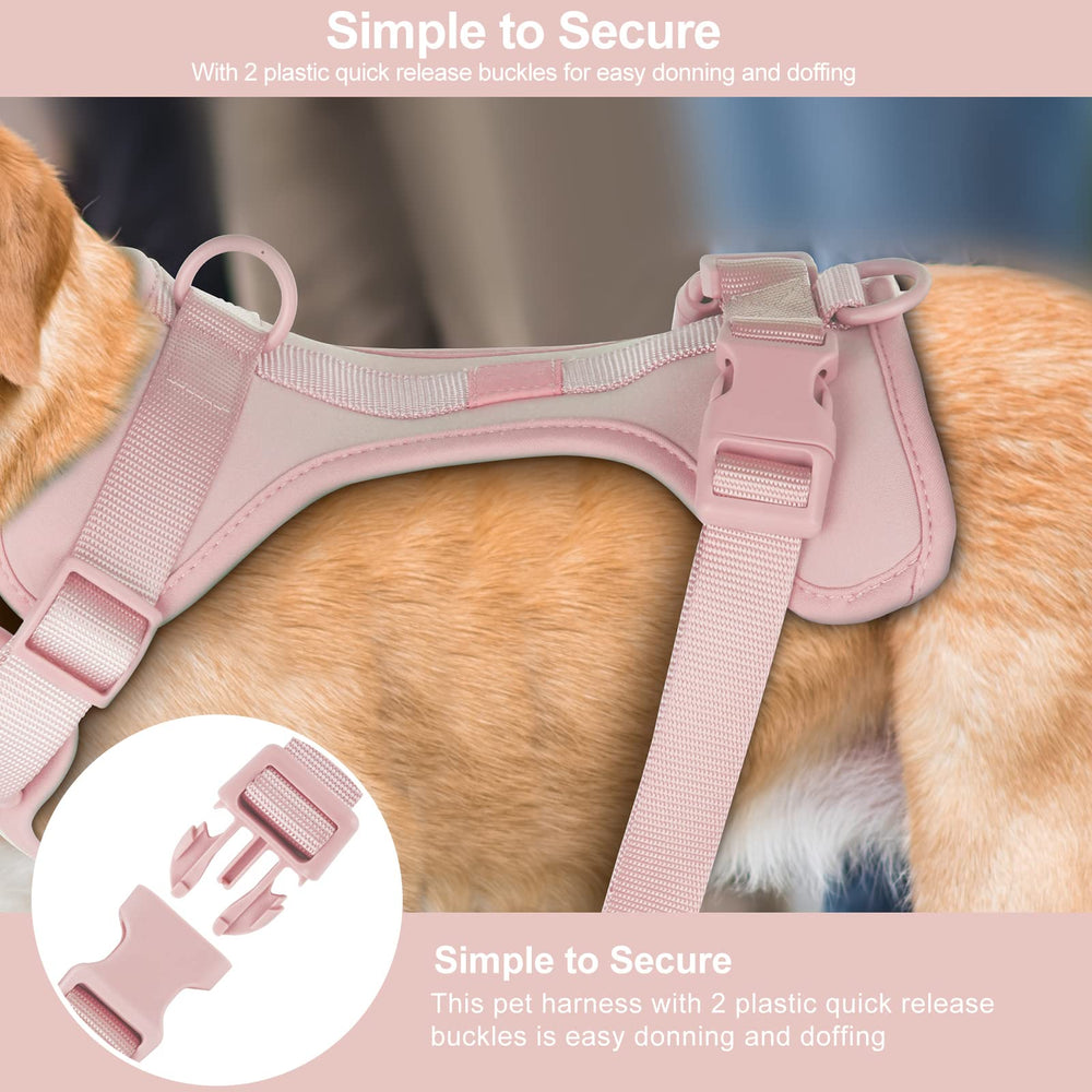 Diseño fácil de colocar y quitar Wisedog para ahorrar tiempo.